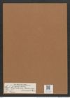 Cystopleura cistula var. lunaris Grun. (de-Toni-Nr.: Genus 103, Species 36/3141) Zeichnungen Sammlung Grunow Mappe 03382 (Herbarium_W_Grunow_drawings_Folder_03382)